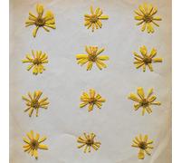 The Molochs - Flowers In The Spring [VINYL]