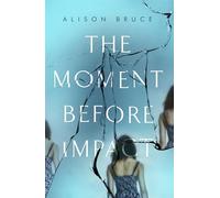 The Moment Before Impact