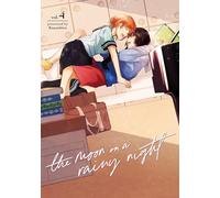 The Moon on a Rainy Night 4