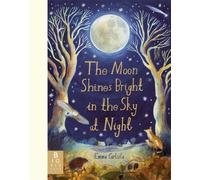 The Moon Shines Bright in the Sky at Night : A beautifully illustrated bedtime story filled with comfort, calm and the magic of nighttime