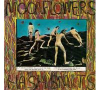 The Moonflowers - Hash Smits