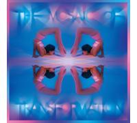 The Mosaic of Transformation