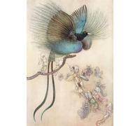 The most beautiful bird of paradise. Illustration by Warwick Goble. From The Water Babies published 1922. Poster Print by Hilary Jane Morgan (11 x 16)
