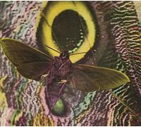 The Mothmen - Pay Attention!