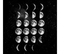 The Motivated Type Moon Cycle Women's T-Shirt - Black - M - Black