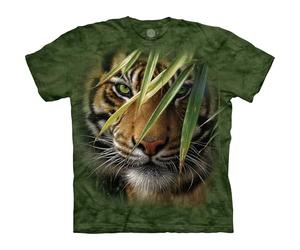 The Mountain Men's Emerald Forest Tee, Green, XXL
