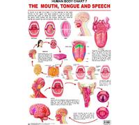 The Mouth, Tongue and Speech