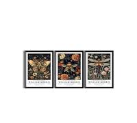 the mug vault William Morris Vintage Wall Art Set, 3 Pieces Unframed Prints with Bee, Butterfly, Dragonfly, 30 x 40 cm, Nature Floral Canvas Decor