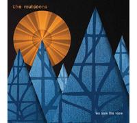 The Muldoons - We Saw The View [VINYL]