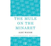 The Mule on the Minaret : A Novel about the Middle East