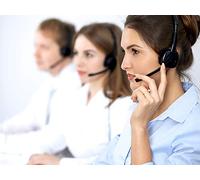 The Multilingual Mind