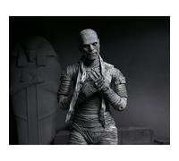 The Mummy The Ultimate Mummy Figure by NECA in Grey 04812