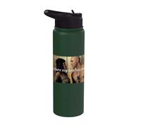 The Mummy Where My Lore Started Love Story Stainless Steel Insulated Water Bottle