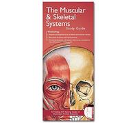 Anatomical Chart Company's Illustrated Pocket Anatomy: The Muscular & Skeletal Systems Study Guide