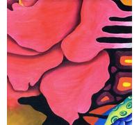 The Mustangs - Acid Trip