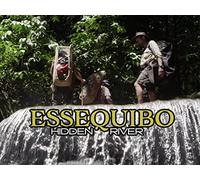 The Mysterious Source