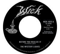 Before You Realise It/Cerebral Crack [7" VINYL]