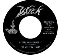 The Mystery Lights Before You Realise It/Cerebral Crack (Vinyl) (US IMPORT)