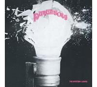 The Mystery Lights - Purgatory [VINYL]