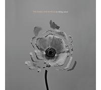 The Naked and Famous - In Rolling Waves