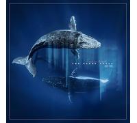 THE NAKED SOULS - REVERB FROM THE DEPTHS (2LP) [VINYL]