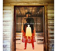 The Name of the Ghost Is Home [VINYL]