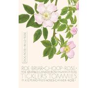 The Naming of a Flower Card Collection - Wild Rose