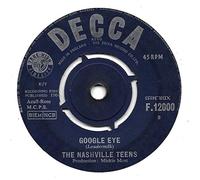 The Nashville Teens - Google Eye