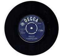 The Nashville Teens - Google Eye / TNT