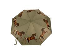 The National Gallery by Fulton Minilite Umbrella, George Stubbs Whistlejacket Print