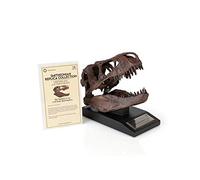 The Nation's T-Rex Skull Statue | Smithsonian Fossil Replica | 6-Inch Tall Tyrannosaurus Rex Desk Statue | 1:10 Scale