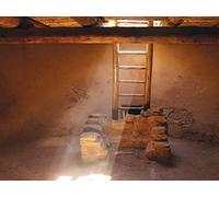 The Native South and Southwest in the 1600s