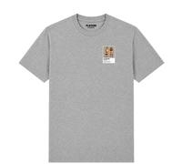 The Natural Disasters Wrestling Icon Frame Men's T-Shirt - Gray / 2XL
