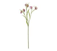 The Natural Garden Collection Purple Fritillaria Stem