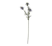 The Natural Garden Collection Purple Nigella Love In A Mist