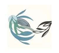 Natural Lines,the - The Natural Lines