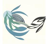 Natural Lines,the - The Natural Lines