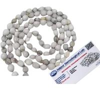 The Natural Vyjanthi Beej Mala - Vaijanti Beej - Vaijayanthi/ - 1 Piece./Grey/Certified Certificate with This Pack.