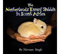 The Netherlands Dwarf Rabbit in South Africa