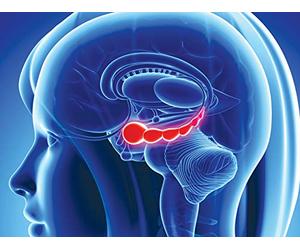 The Neural Basis of Explicit Learning