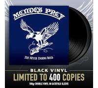 The Never Ending Road [VINYL]