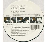 The Neville Brothers - fly like an eagle / remix 12