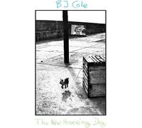 The New Hovering Dog [VINYL]