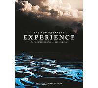 The New Testament Experience: The Gospels for the Modern World
