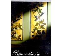 The Nightjar Orchestra - Synaesthesia