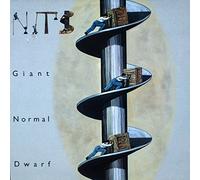 The Nits - Giant Normal Dwarf [VINYL]