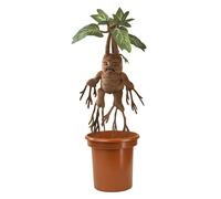 The Noble Collection Harry Potter Mandrake Interactive Plush with Pot - Official