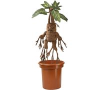 Noble Collection Harry Potter Mandrake Interactive Teddy Multicolor Kids
