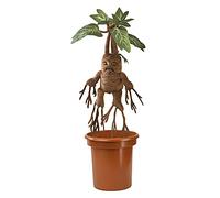 Noble Collection Harry Potter Mandrake Interactive Teddy Multicolor Kids