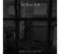 The Noise Birds - Th Dark Sea Hides A Bright Li [VINYL]